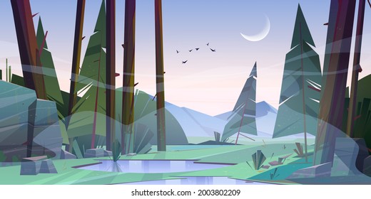 Forest at early foggy morning scenery landscape. Tranquil nature with fir-trees and rocks covered with fog, puddles on ground and birds at pink sky with moon, summer wood Cartoon vector illustration