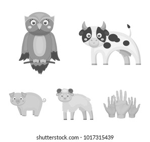 Forest, ecology, toys and other web icon in monochrome style.Animals, farm, enterprises icons in set collection.
