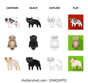 Forest, ecology, toys and other web icon in cartoon,black,outline,flat style.Animals, farm, enterprises icons in set collection.