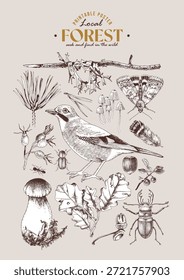 Cartel de Vector dibujado a mano del ecosistema forestal