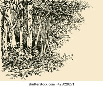 Forest Edge Drawing, Generic Vegetation Sketch