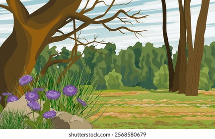 Forest edge with trees and blooming asters. Realistic vector landscape