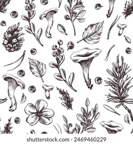 Forest edible chanterelle mushrooms with blueberries, cones, autumn leaves and twigs. Graphic illustration, hand drawn with brown ink, line art monochrome. Seamless pattern of forest, harvest, nature