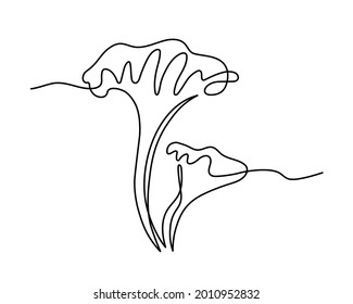 forest edible mushroom,  decorative chanterelle, delicious food, vector illustration with black contour lines isolated on a white background in doodle and one line drawing style