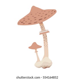 Forest edible mushroom flat vector illustration
