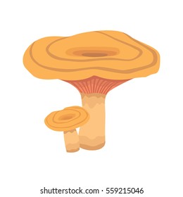 Forest edible mushroom flat vector illustration