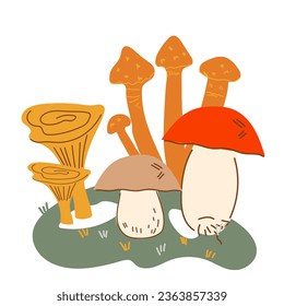 Forest edible mushrooms composition for reservation of mushrooms, mushroom harvesting concept, flat vector illustration isolated on white background. Edible fungus for canned food packs.