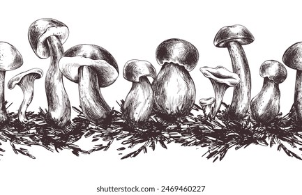 Forest edible mushrooms porchini, boletus, chanterelles with moss. Graphic illustration, hand drawn with brown ink, line art monochrome. Seamless board pattern on the theme of forest, harvest, nature.