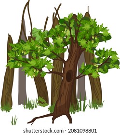Forest element. Cartoon oak tree with hollow and green foliage