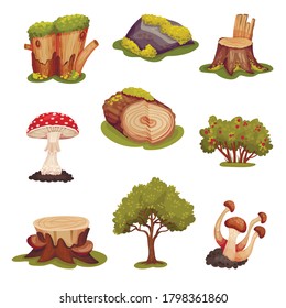 Forest Elements with Mossy Stump, Mushrooms and Trees Vector Set