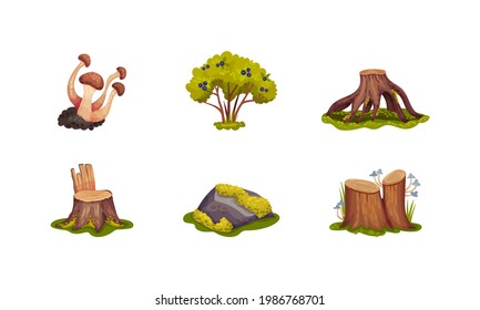 Forest Elements with Mossy Stump, Mushrooms and Trees Vector Set