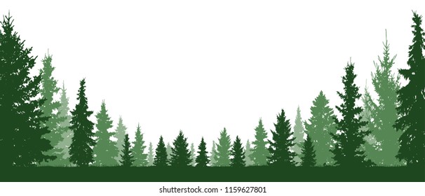 Forest evergreen, coniferous trees, silhouette vector background. Isolated trees