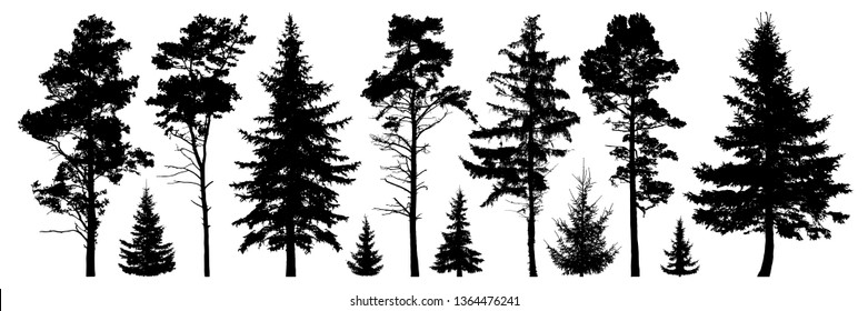 Forest evergreen trees silhouette isolated set