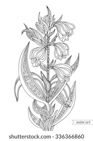 Forest exotic jungle flowers plant, branch with leaves. Vector. Zentangle. Coloring book page for adult. Hand drawn artwork. Bohemia concept for cards, tickets, branding, logo, label. Black and white