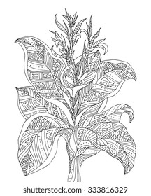 Forest exotic jungle plant, bush, flowers, branch with leaves. Vector. Coloring book page for adults. Hand drawn artwork. Bohemia concept for cards, tickets, branding, logo, label. Black and white