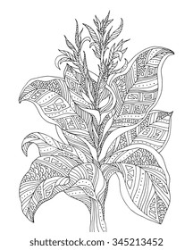 Forest exotic jungle plant, bush, flowers, branch with leaves. Vector. Coloring book page for adults. Hand drawn artwork. Bohemia concept for cards, tickets, branding, logo, label. Black and white