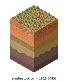 Forest farm Soil layers geological and underground beneath nature landscape isometric slice