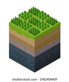 Forest farm Soil layers geological and underground beneath nature landscape isometric slice