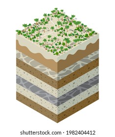 Forest farm Soil layers geological and underground beneath nature landscape isometric slice