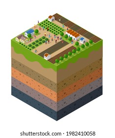 Forest farm Soil layers geological and underground beneath nature landscape isometric slice