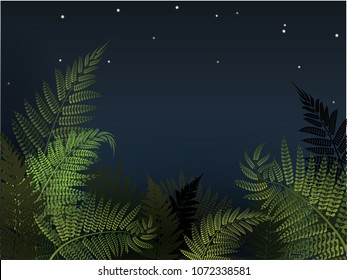 Forest fern with night sky vector illustration. New Zealand background.