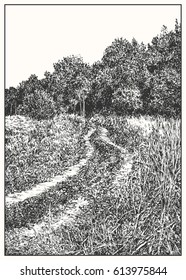 Forest and field nature view of Russian nature with road. Black and white dashed style sketch, line art, drawing with pen and ink. Retro vintage picture.