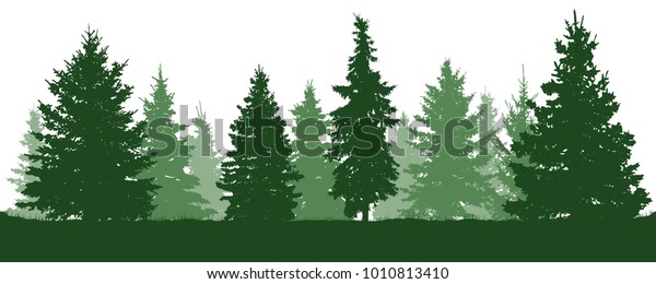 Forest fir trees silhouette. Coniferous green\
spruce. Vector on white\
background