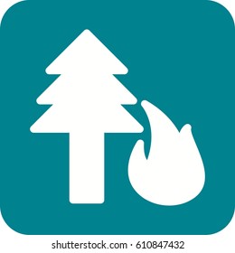 Forest Fire
