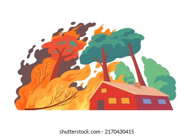 Forest fire, burning house Natural disaster.