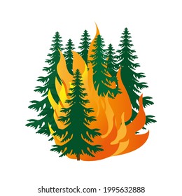 Forest fire.
Burning forest spruce on fire. Disaster. Caution with forest fires. The trees are on fire.