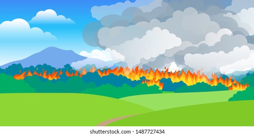 forest in fire burning trees and bushes clouds of smoke 