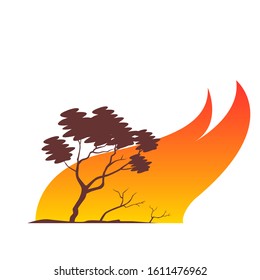 Forest fire and burning