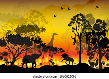 Forest fire burns in Australia. Forest fires with silhouette of wild animals. Burning forest spruces in fire flames isolated, nature disaster.