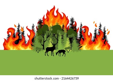 Forest fire. Colorful burning mixed forest and silhouette of deer. Green deciduous and coniferous trees on whit background. Flat design. Forest fire. Colorful burning mixed forest and silhouette of de