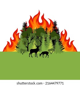 Forest fire. Colorful burning mixed forest and sihouette of deer. Green deciduous and coniferous trees on whit background. Flat design.Forest fire. Colorful burning mixed forest and sihouette of deer.