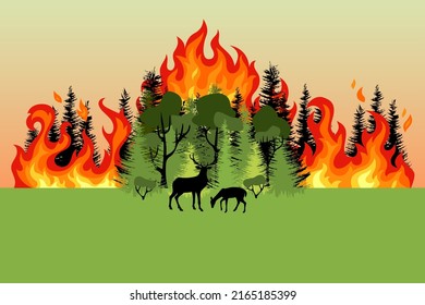 Forest fire. Colorful burning mixed forest and sihouette of deer. Green deciduous and coniferous trees on fire background. Flat design.