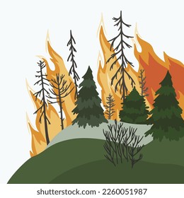Forest fire. Dangerous wildfire. Pines in flame.