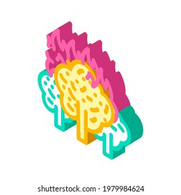 forest fire disaster isometric icon vector. forest fire disaster sign. isolated symbol illustration