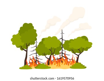 Forest fire flat vector illustration isolated on white background. Burning forest trees in fire flames.