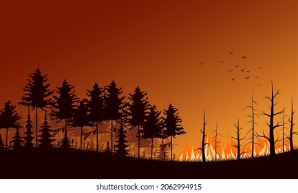 Forest fire. Flat vector illustration. Burning forest spruces in fire flames vector illustration.