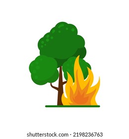 Forest fire icon with colorful design isolated on white background
