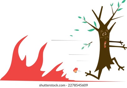 Forest Fire, fire in forest landscape damage, nature ecology disaster.

