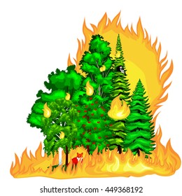 Forest Fire landscape damage, nature ecology disaster, hot burning trees, danger flame with smoke, blaze wood background vector illustration.red and orange