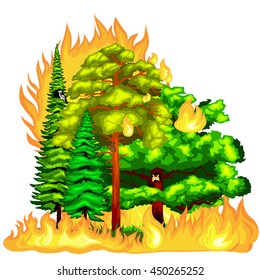 Forest Fire landscape damage, nature ecology disaster, hot burning trees, danger flame with smoke, blaze wood background vector illustration.red and orange
