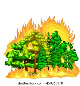 Forest Fire landscape damage, nature ecology disaster, hot burning trees, danger flame with smoke, blaze wood background vector illustration.red and orange