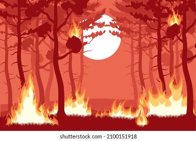 forest fire sunset landscape scene