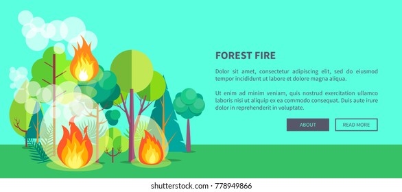 Forest fire web poster of raging wildfire. Vector illustration of forest burning fiercely with bushes, trees aflame and a lot of smoke against background