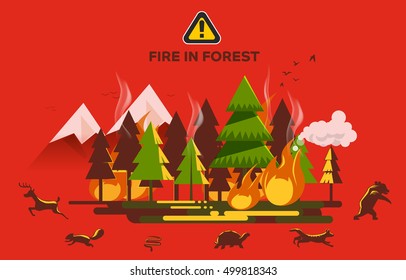 Forest fires burn fast. Wild animals run for their lives. The accident occurred because the heat. The danger of wildfire.