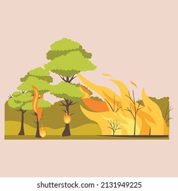 Forest fires. Burning wood plants in fire and smoke, natural disaster cartoon illustration.