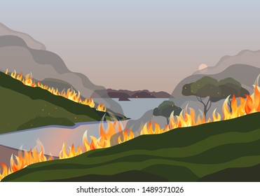 Forest fires disaster mountain trees flat vector. Wildfires destroy woodland environment cartoon. Fire smoke on water, sun through haze. Burning forest fire blaze ravaged mountains region illustration